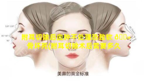 附耳切除后血肿不处理恐致软 🌻 骨坏死(附耳切除术后需要多久才能恢复(图))